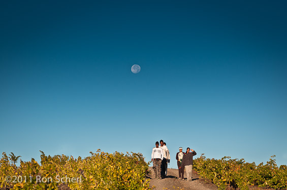 Harvest Moon